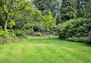 Optimiser l'expérience du jardin à Le Molay-Littry